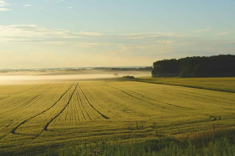 Vacant Land  image